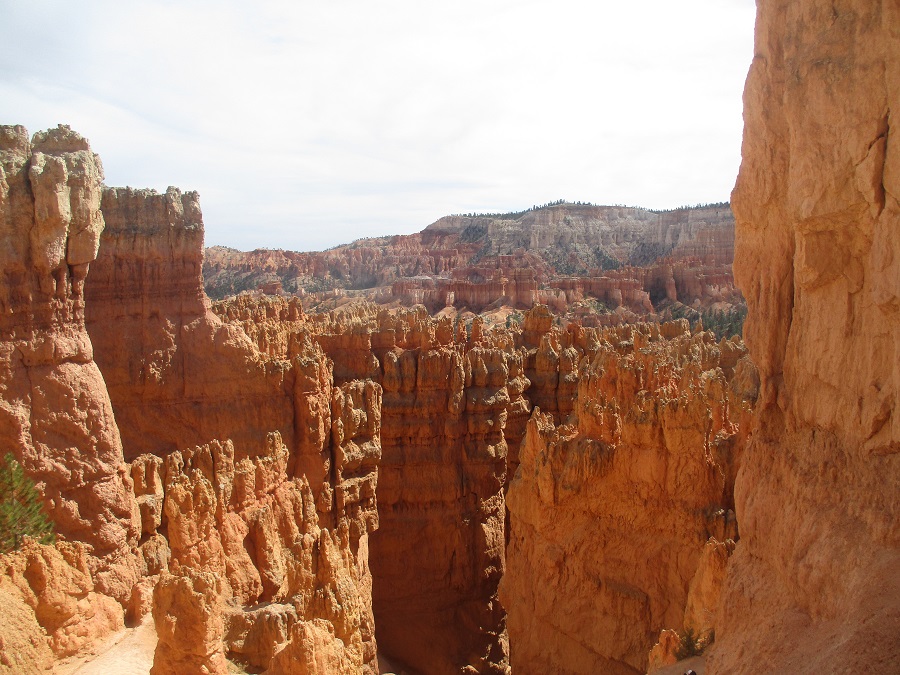 Bryce Canyon National Park view 1