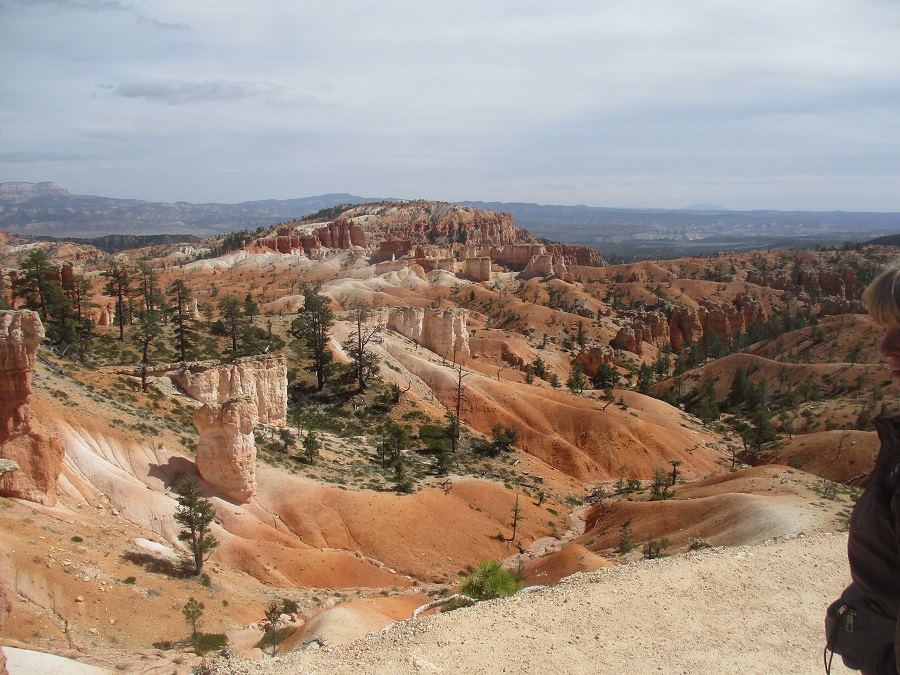 Bryce Canyon National Park view 10