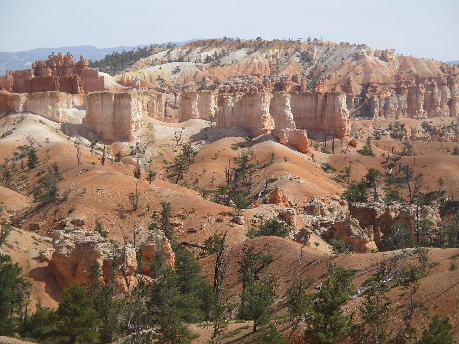 Bryce Canyon National Park view 11