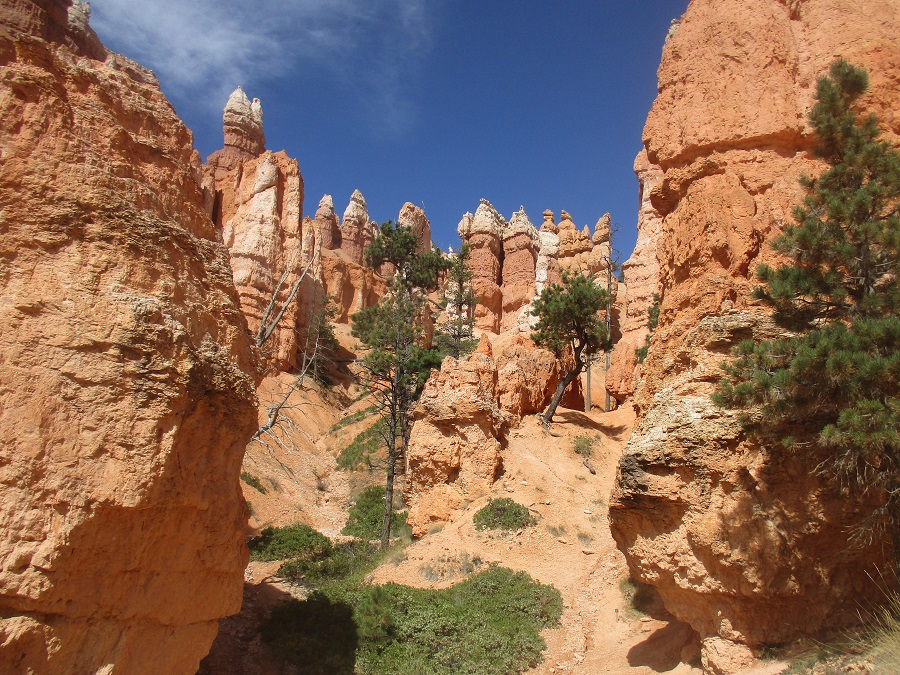 Bryce Canyon National Park view 14