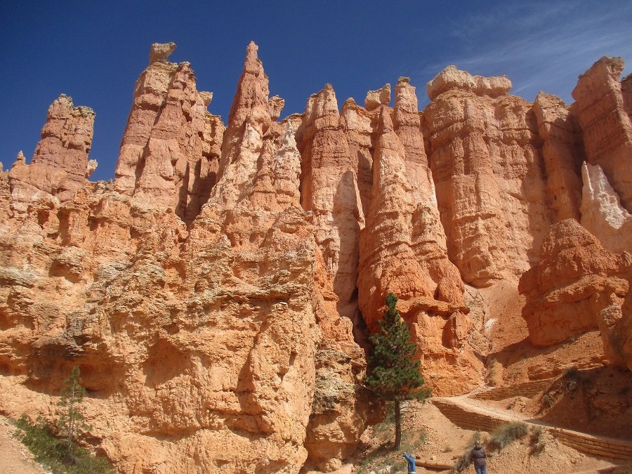 Bryce Canyon National Park view 15