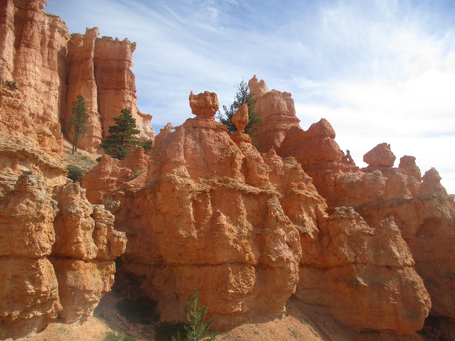 Bryce Canyon National Park view 16