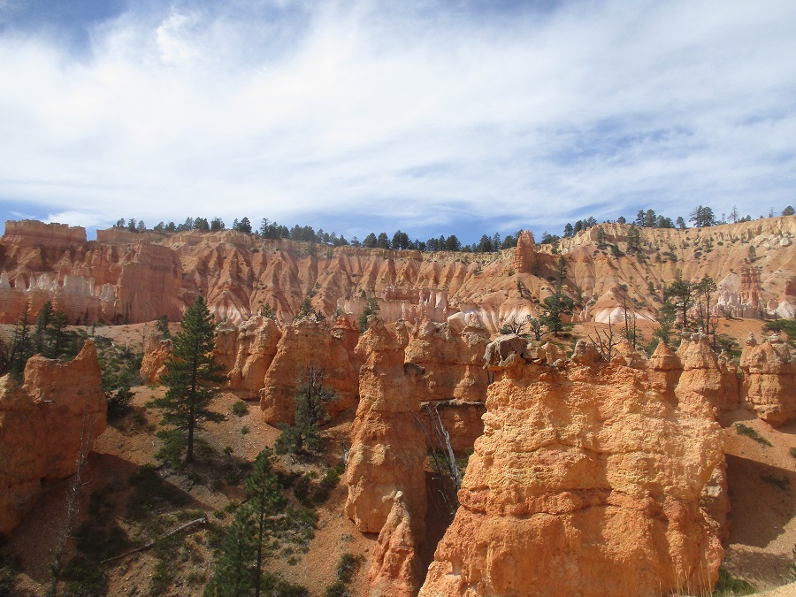 Bryce Canyon National Park view 17
