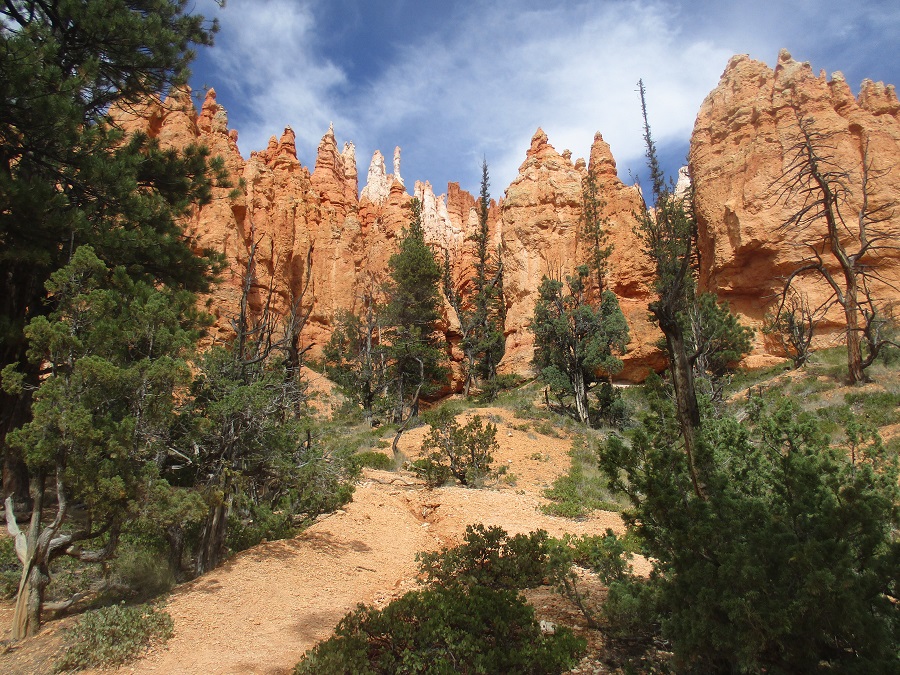 Bryce Canyon National Park view 20