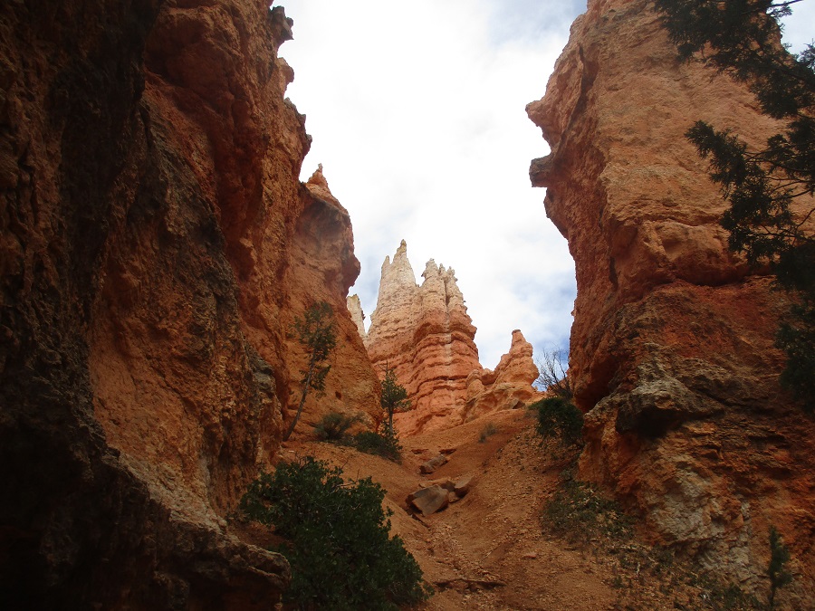 Bryce Canyon National Park view 21