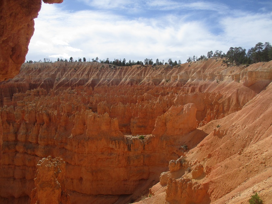 Bryce Canyon National Park view 25