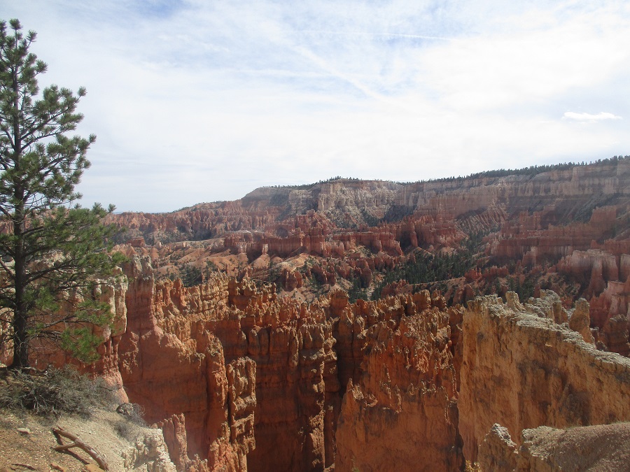 Bryce Canyon National Park view 26