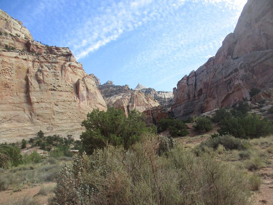Capitol Reef National Park view 9