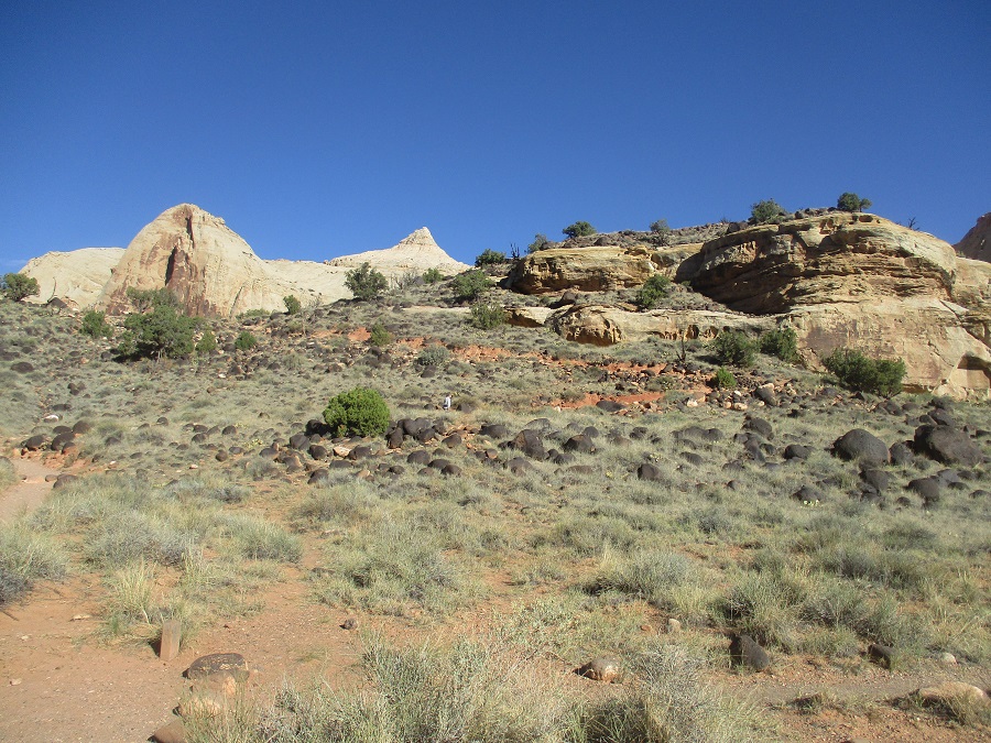 Capitol Reef National Park view 21