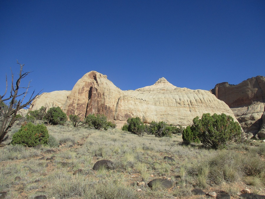 Capitol Reef National Park view 22
