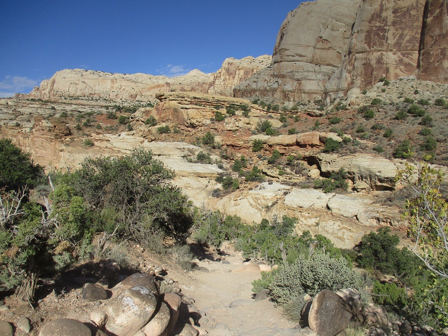 Capitol Reef National Park view 23