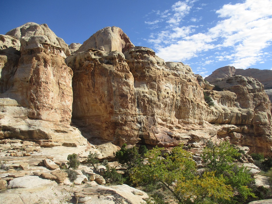 Capitol Reef National Park view 26