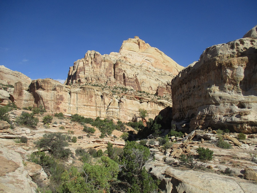 Capitol Reef National Park view 27