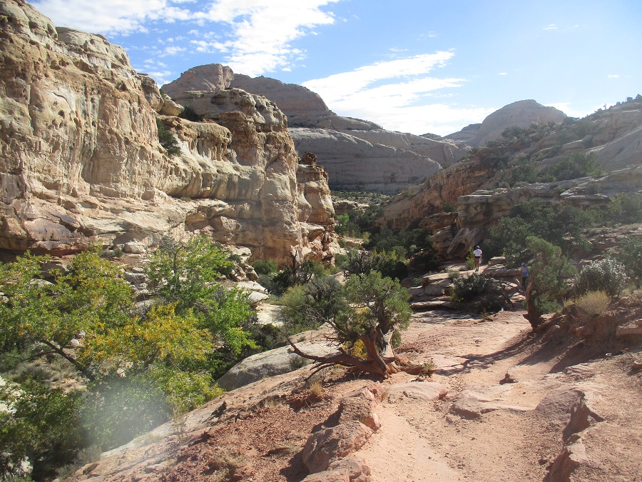 Capitol Reef National Park view 28