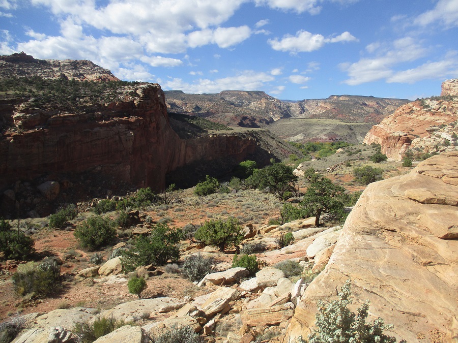Capitol Reef National Park view 29